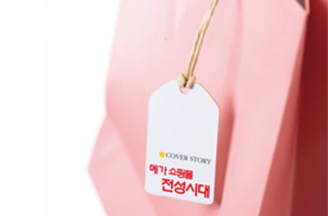 흥행 특구, 메가 쇼핑몰