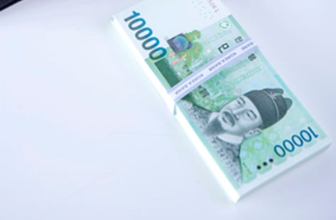 신묘년 두마리 토끼를 잡아라