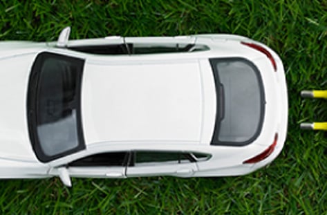 '차없는 도시'가 뜬다