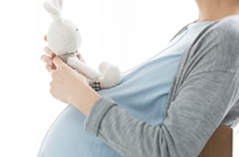 저출산 예산은 없었다