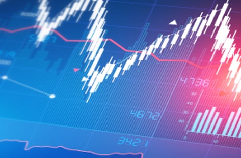 거대한 투기판 사설 장외사이트