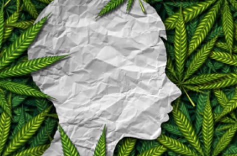 의료용 대마 국회 재도전