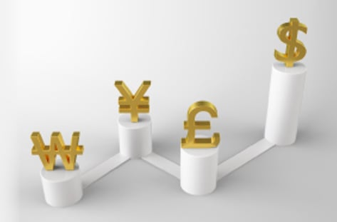 셀코리아 부른 짠물배당