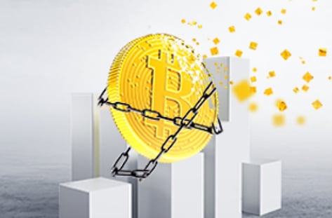 가상통화 열풍 1년