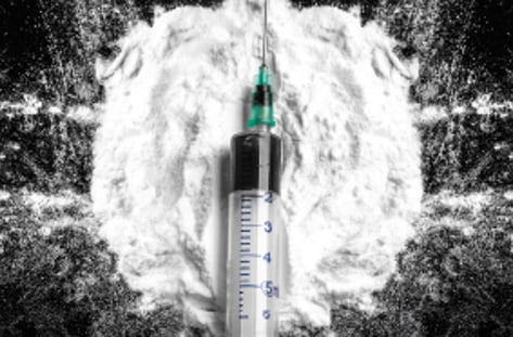 무너진 마약 청정국