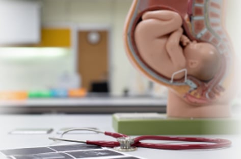 낙태죄 헌법불합치 그후 한 달