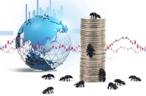 동학개미운동 명과암