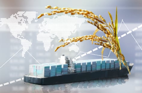 글로벌 식량전쟁