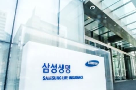 삼성생명법이 뭐길래