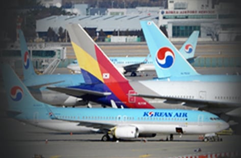 1년째 날개 못편 '메가 항공사'