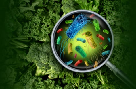 후진국형 식품위생사고의 악순환, 왜