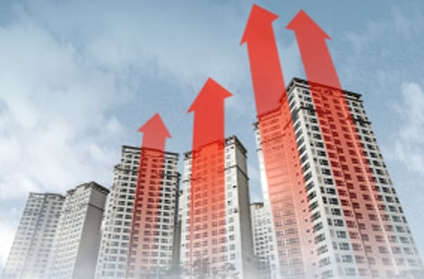 전세 NO, 월세로 할게요