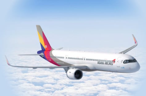 아시아나, 날개 다나