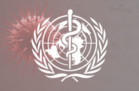 팬데믹 2년, WHO 대해부