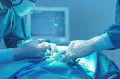 무엇이 대형병원 간호사를 죽였나