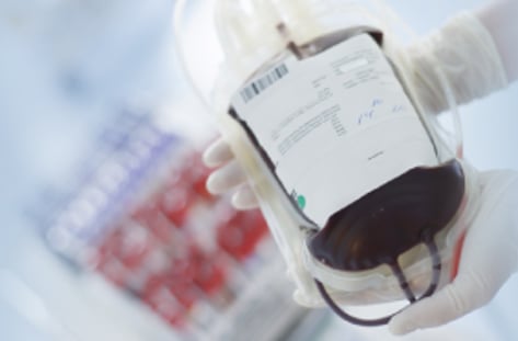 혈액 절벽이 온다