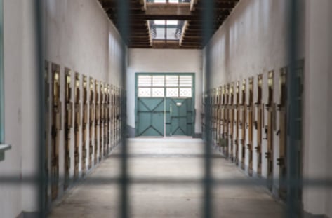 '범죄와의 전쟁' 다음이 비었다