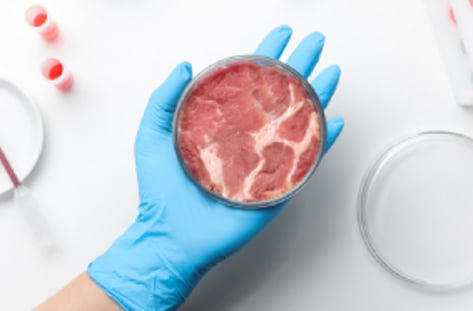 K-배양육 시대 개막