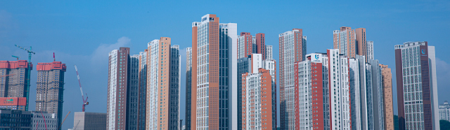 공공임대의 역설 코너 이미지