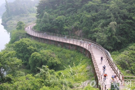 자전거투어 참가들이 인공 자전거길을 달리며 낙동강의 절경을 만끽하고 있다./사진=박정웅 기자