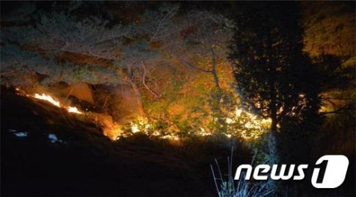 북한산 선림사 뒤편서 화재가 발생, 3시간30분 만에 꺼졌다. 사진=서울 은평소방서 제공