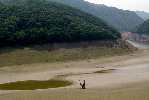 가뭄으로 소양강댐 수위가 낮아지면서 42년간 물에 잠겨 있던 수몰지역인 강원 인제군 남면의 서낭당 매차나무가 모습을 드러냈다. /사진=뉴스1