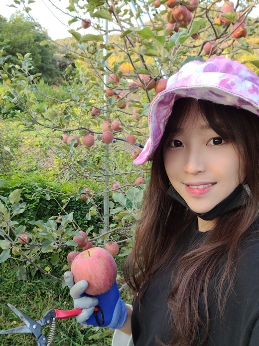 기사 이미지