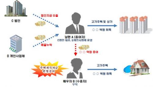 "아파트 산 10억원, 온라인사업 해서 벌었다"… 알고 보니 아빠 돈