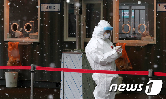 신종 코로나바이러스 감염증(코로나19) 신규검진 건수 대비 확진율이 다시 0%대로 내려왔다. /사진=뉴스1