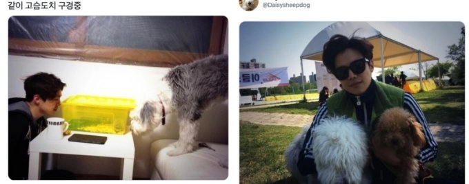 박은석은 과거에도 반려 동물들과의 일상을 자신의 SNS에 공개한 바 있다. /사진=박은석 반려동물 트위터 계정