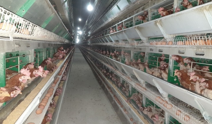 복합소재 자전거 시장