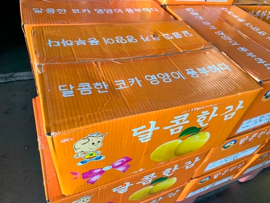 최근 중국산 과일이 한국산으로 둔갑한 채 동남아시장에서 판매되는 일이 빈번하다. 한국어로 포장된 박스에 담긴 중국산 감./사진=농식품부 제공
