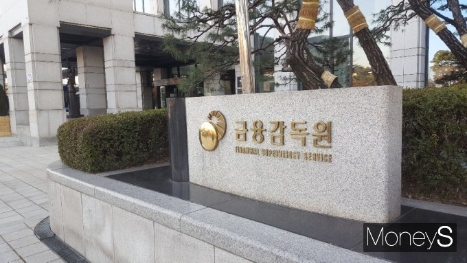 금융감독원/사진=머니S