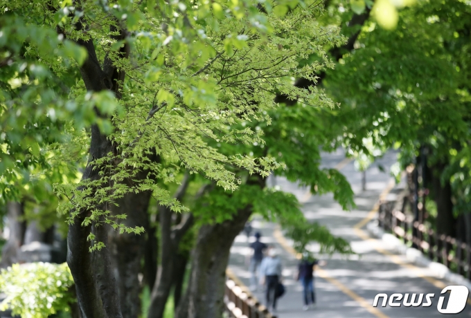내일 날씨 오늘보다 포근… 미세먼지 농도 '보통' - 머니S