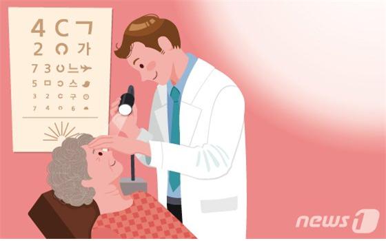 ./그래픽=뉴스1