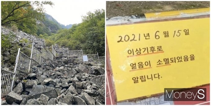 경남 밀양 얼음골의 얼음이 이상 기후 여파로 모두 소멸했다는 소식이 전해졌다. 사진은 지난해 10월 찍은 얼음골(왼쪽)과 최근 얼음골 입구에 부착된 푯말 모습. /사진=김유림 기자, 트위터 캡처