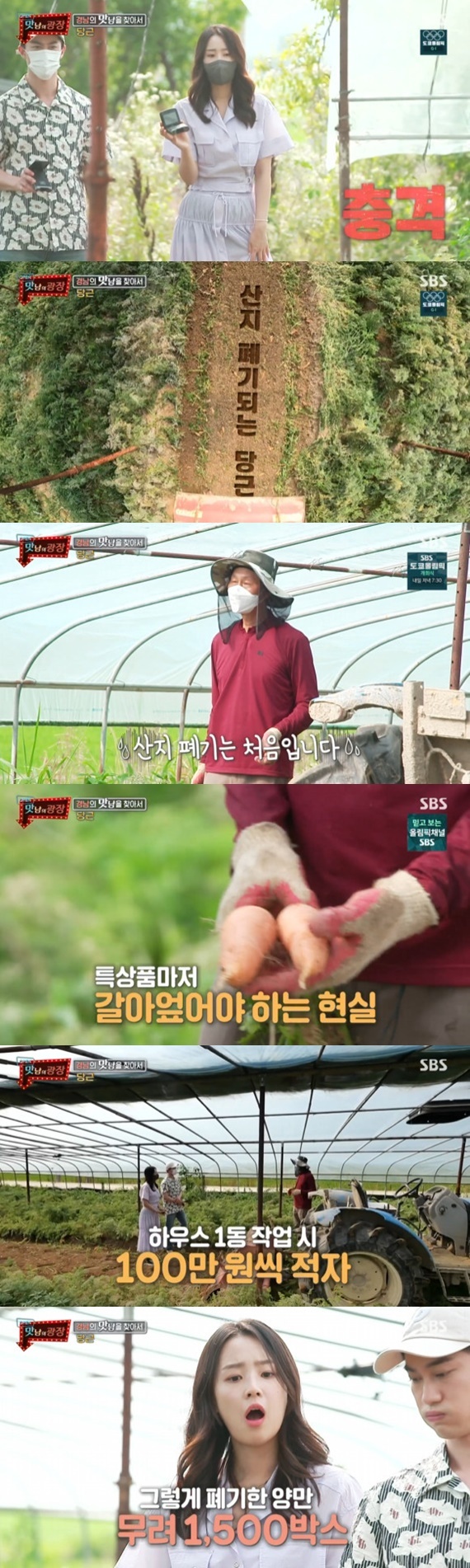 SBS '맛남의 광장' © 뉴스1