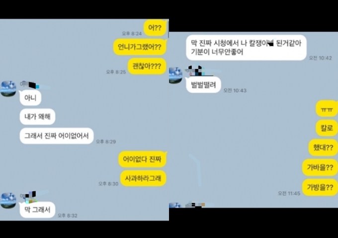 극단적 선택을 한 여성 A씨의 어머니가 딸의 죽음에 억울함을 호소하는 글을 올렸다. 사진은 A씨의 어머니가 공개한 A씨와 동생의 대화 내용. /사진=온라인 커뮤니티 '보배드림' 캡처