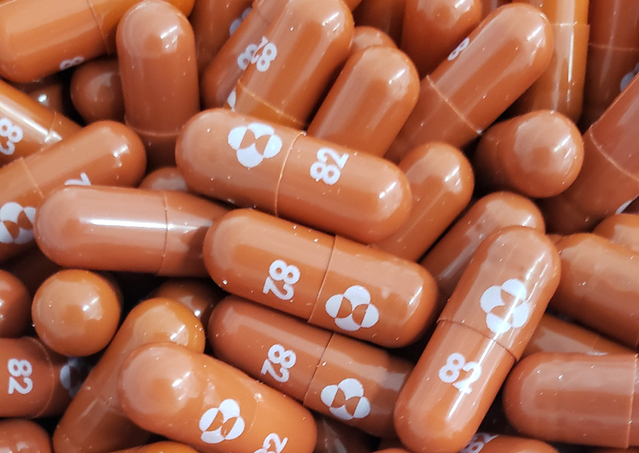 미국 식품의약국(FDA) 자문위원회가 머크(MSD)의 알약형 신종 코로나바이러스 감염증(코로나19) 치료제 몰루피라비르의 긴급 사용 승인을 권고했다. /사진=뉴시스