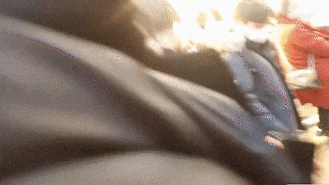 시위 여성 넘어뜨린 후 땅에 질질… 尹 지지자들, 또 유세장서 폭행