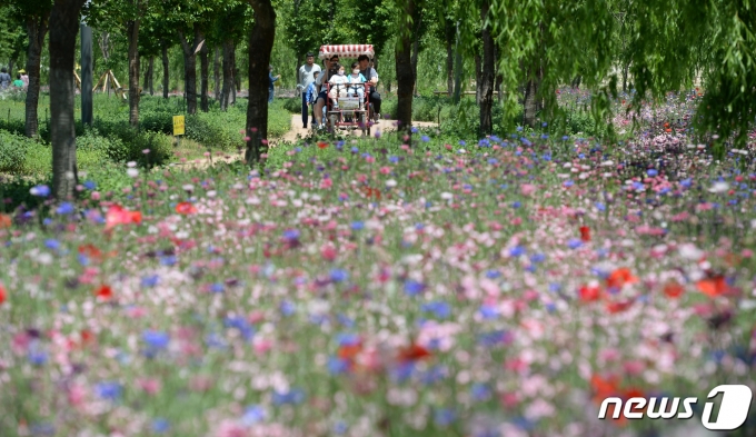 화창한 15일 경남 거창군 남상면 거창창포원을 찾은 방문객들이 꽃구경을 하고 있다. (거창군 제공) 2022.5.15/뉴스1