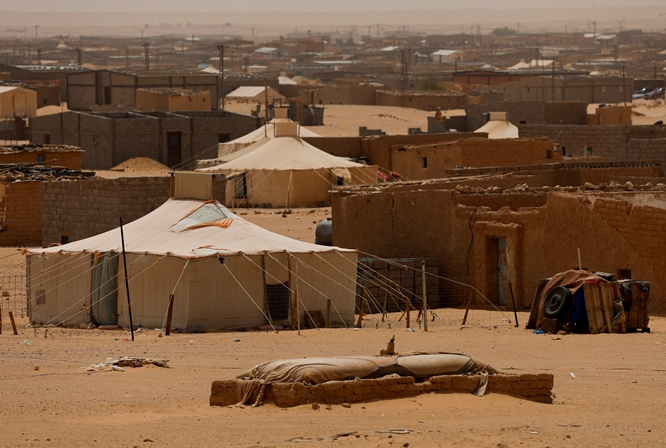 사진은 알제리 서부 틴두프 소재 난민 수용소 모습. /사진=로이터