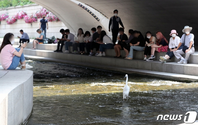 서울 청계천 모전교 아래에서 시민들이 더위를 식히고 있다. 2022.5.23/뉴스1 © News1 황기선 기자