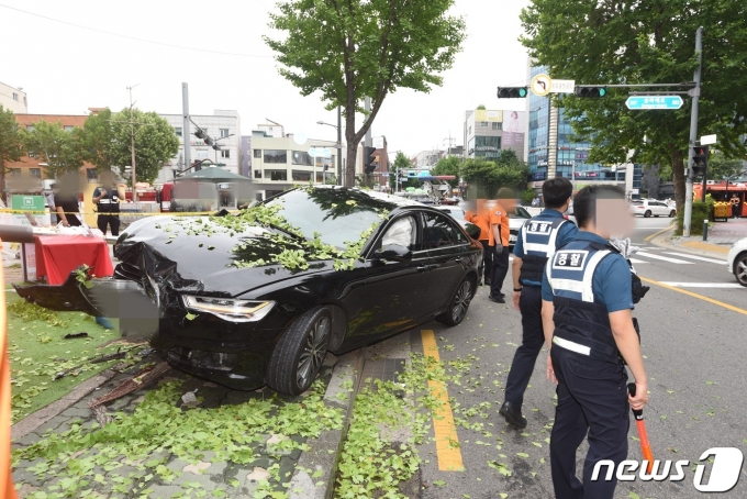 26일 오전 11시6분쯤 서울 송파구 송파사거리에서 승용차가 가로수와 가로등을 들이받는 사고가 발생했다.©(송파소방서 제공)