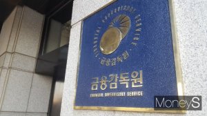 신한은행도 거액 외환 이상 거래 정황… 금감원 검사