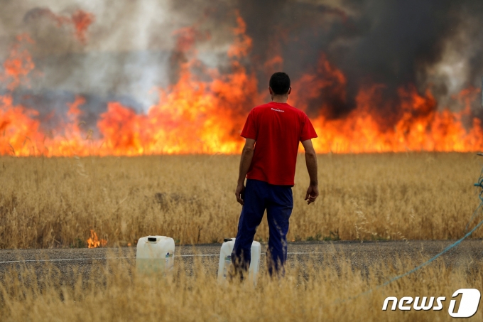 지난달 18일(현지시간) 스페인 사모라 지방에서 한 양치기가 올 들어 두 번째 폭염을 겪고 있는 타바라의 밀밭을 태우고 있는 불길을 지켜보고 있다. ⓒ 로이터=뉴스1 ⓒ News1 유민주 기자
