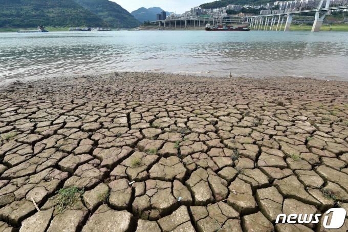 16일 (현지시간) 중국 충칭의 양쯔강이 극심한 가뭄으로 갈라진 바닥을 드러내고 있다. ⓒ AFP=뉴스1 ⓒ News1 우동명 기자