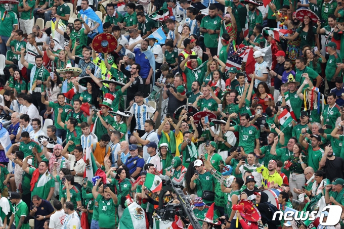 [사진] 멕시코 축구팬들의 응원 물결