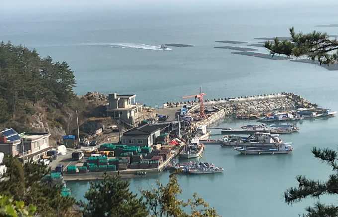 전라남도가 1996년 시군에 위임했던 지방어항 건설사업을 앞으로는 도에서 직접 추진키로 했다. 완도신흥항/전남도