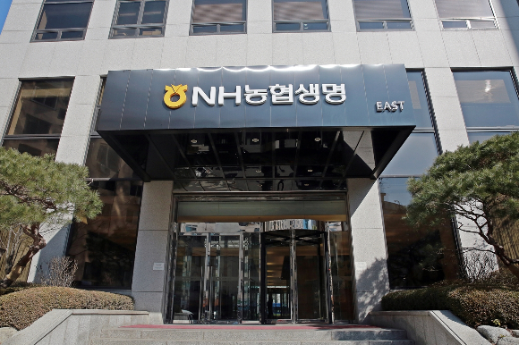 판 커지는 요양서비스 시장… 군침 흘리는 농협생명·신한라이프